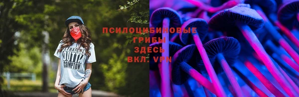 бутик Бородино