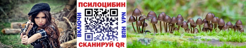 Купить  Чапаевск  Псилоцибиновые грибы мухоморы 